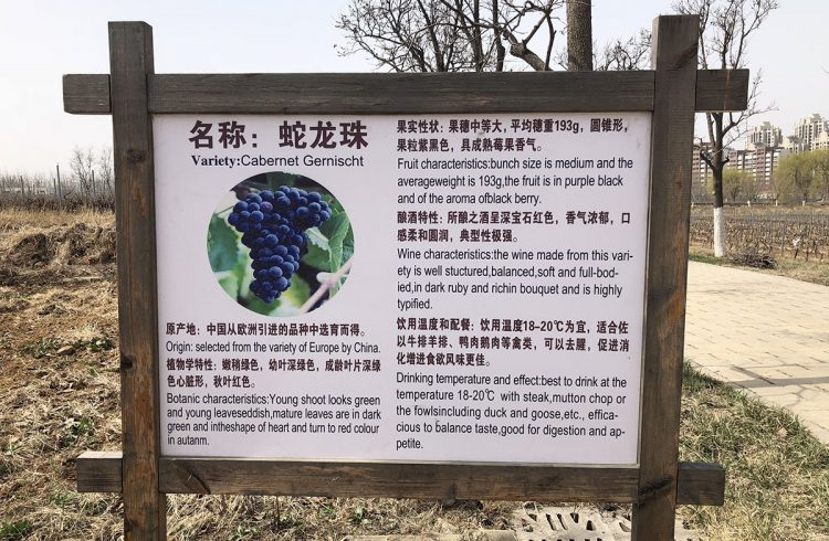 Changyu Cabernet Gernischt